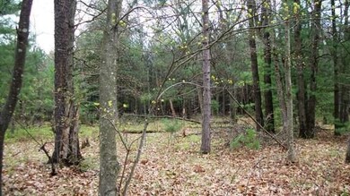 0 Fremont unit 1705842, Byron, WI 54660 - photo 2