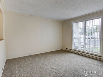 Lots of Natural Light