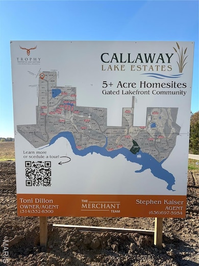 316 Gentle Rain Dr, Defiance, MO 63341 - photo 4