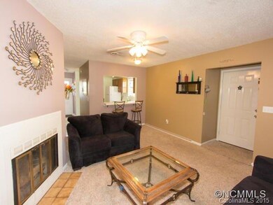 Wood Fireplace