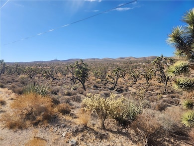 0000 N Tamarisk & Rainbow, Meadview, AZ 86444 - photo 2