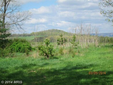 310 Cave Ridge Rd, Edinburg, VA 22824 - photo 5