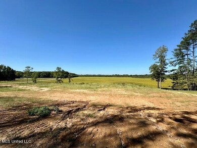 10696 Bobcat Ln-Photo from Hill1