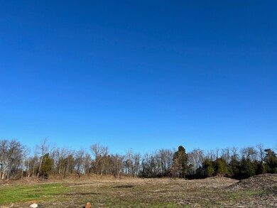 0 Galland Dr unit RTC2494677, Shelbyville, TN 37160 - photo 5