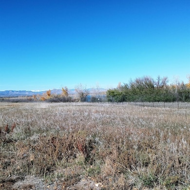 8417 Rizza St unit A, Littleton, CO 80129 - photo 7