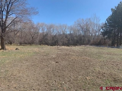 275 SE 2nd St, Cedaredge, CO 81413 - photo 5