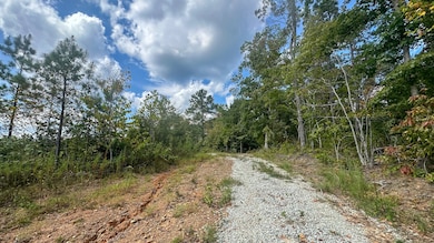 0 Jeanette Holladay Rd, Parsons, TN 38363 - photo 4