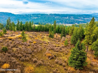 NKA Lisa Road (35 Acres), Harrison, ID 83833 - photo 3