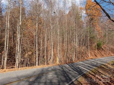 128 Pinnacle Peak Ln, Flat Rock, NC 28731 - photo 7