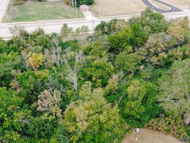 Wooded Lot