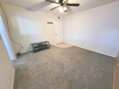 117 S Main St unit B, Algonquin, IL 60102 - photo 2