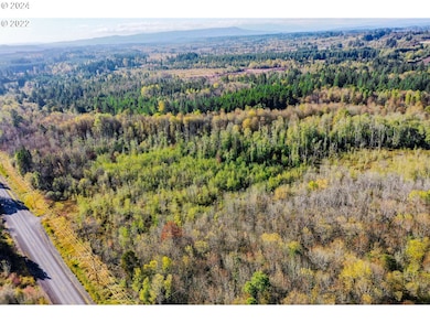 0 Henriot Rd, Winlock, WA 98596 - photo 3