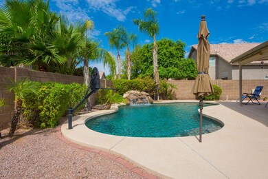 02- BACKYARD POOL