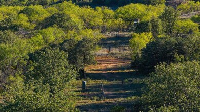 11457 Cr 187, Cisco, TX 76437 - photo 6