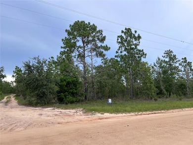 2104 Main St, Hawthorne, FL 32640 - photo 3