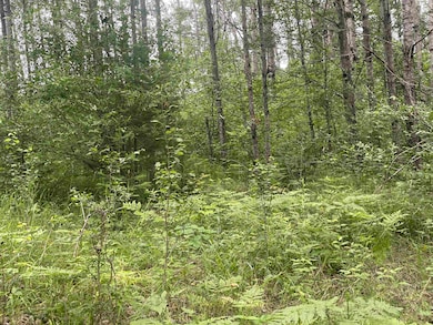 0 W Miller Rd unit 50168811, Mio, MI 48647 - photo 5