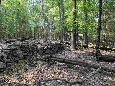 Lot 1 TBD Cherry Hill Rd, Stone Ridge, NY 12484 - photo 4