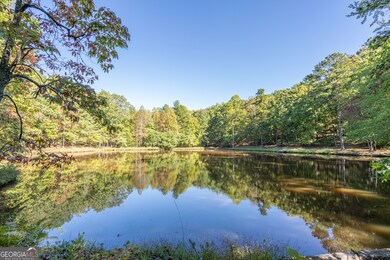 2750 Browning Rd, Rockmart, GA 30153 - photo 3