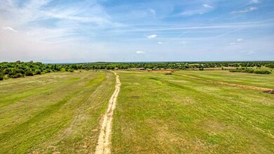 Lot 3 Pine Rd, Poolville, TX 76487 - photo 6