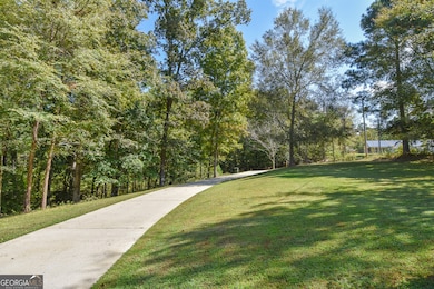 1111 Seaboard Ct, Greensboro, GA 30642 - photo 7