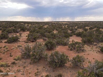 Photo_6684730_DJI_58_jpg_5560086_0_20237