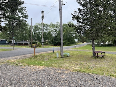 29921 W Place, Ocean Park, WA 98640 - photo 4