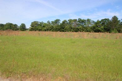 4408 Wilson Rd, Hephzibah, GA 30815 - photo 3