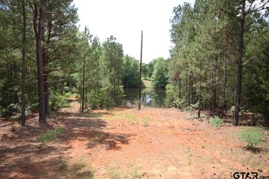 16931 County Road 2203, Arp, TX 75750 - photo 2