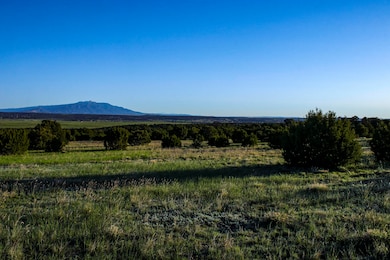 La Veta Pines - Ostrow Lot (3 of 21)