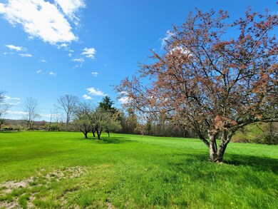 image (4)