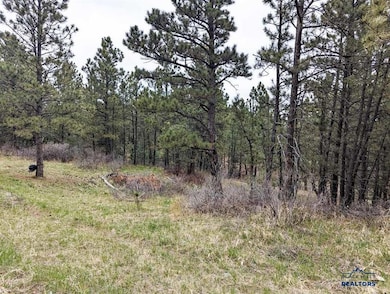 TBD Lot 5 Argyle Rd, Hot Springs, SD 57747 - photo 7