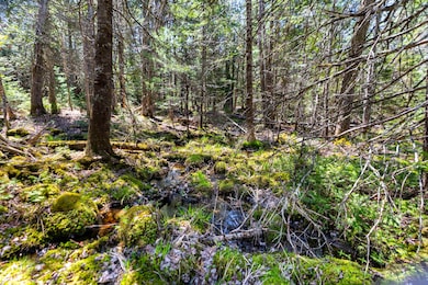 Lot 38 Arrowhead Rd, Bar Harbor, ME 04609 - photo 6