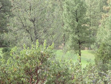 Photo 06