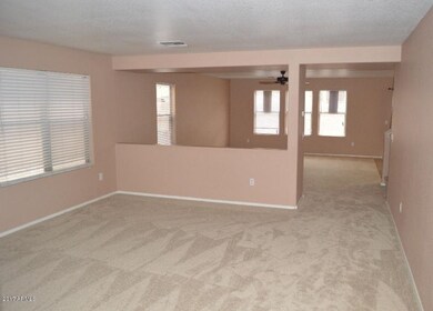 NEW Carpet at lower level