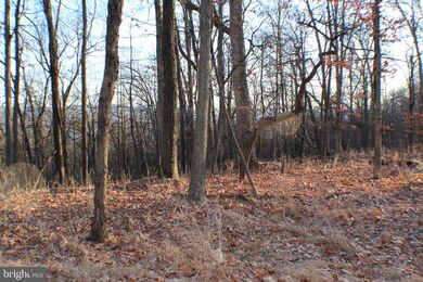 20 ACS High Knob Rd, Old Fields, WV 26845 - photo 2