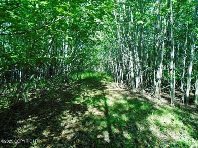 Tr 3 Park Dr, Anchorage, AK 99567 - photo 4