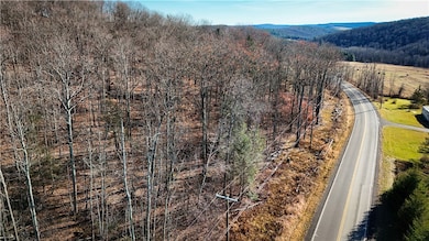 Lot-01 Langford Creek Rd, van Etten, NY 14889 - photo 2