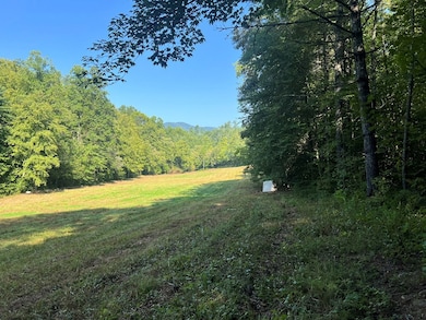 0 R J Mountain View Dr unit 420652, Murphy, NC 28906 - photo 3