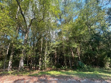 0 Baumhauer Dr, Prichard, AL 36613 - photo 3
