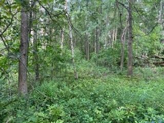 6.45 acres Dublin Rd, Byron, WI 54618 - photo 5