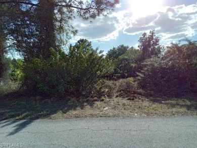 5205-5207 26th St SW, Lehigh Acres, FL 33973 - photo 3