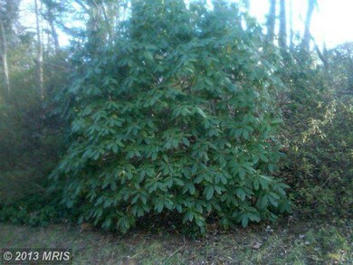 9525 Stevebrook Rd, Fairfax, VA 22032 - photo 5