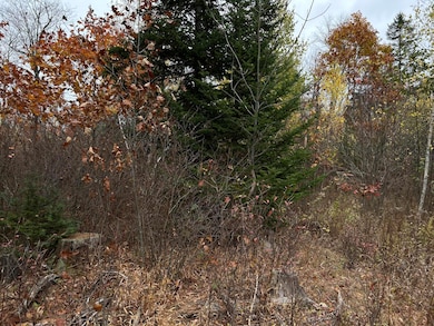 M4L18 Bog Rd, Brooks, ME 04921 - photo 7