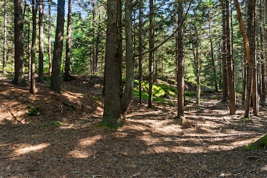 Lot 2A Allen Point Rd, Harpswell, ME 04079 - photo 3