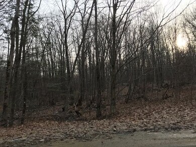 0 Carruth Rd, Templeton, MA 01468 - photo 2