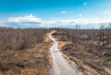 DJI_20240321160441_0195_D