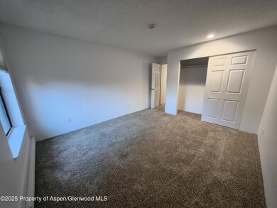 2820 Hager Ln unit 1D, Glenwood Springs, CO 81601 - photo 7