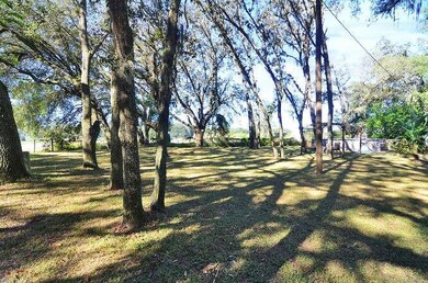 35235 Chancey Rd, Zephyrhills, FL 33541 - photo 3