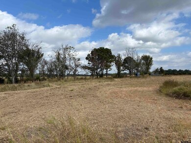 2443 Fm 1653, Ben Wheeler, TX 75754 - photo 3