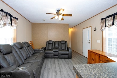 Living room with crown molding, light wood-style floors, a textured ceiling, and ceiling fan